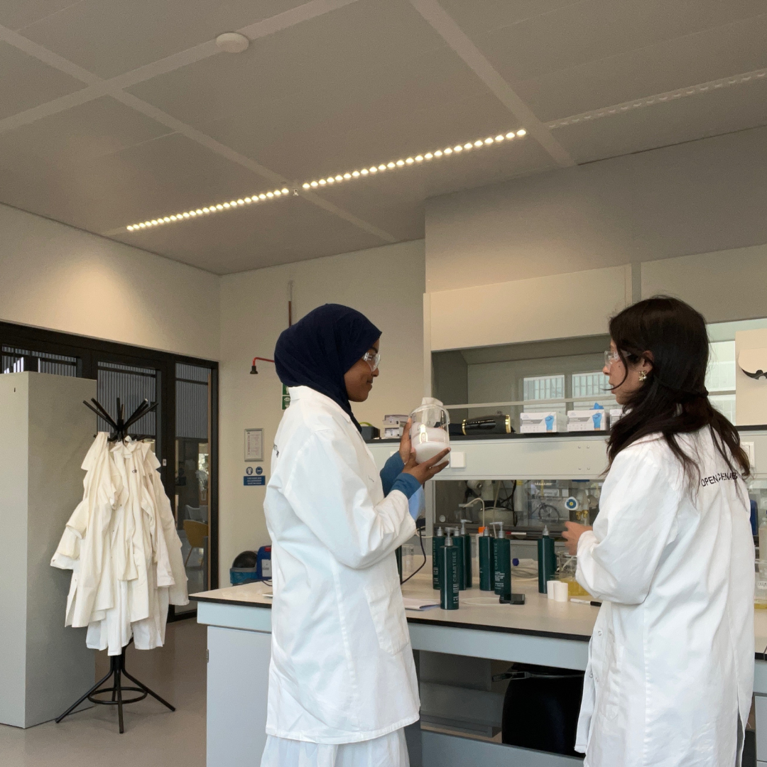 Arkive Labs - Reformulation Development